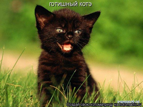 Котоматрица: готишный котэ