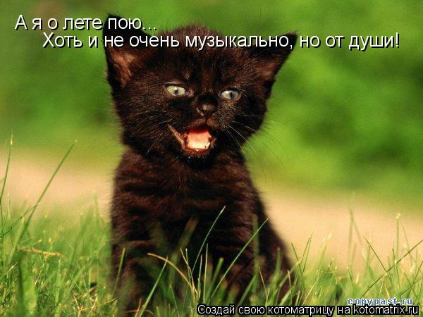 Котоматрица: А я о лете пою... Хоть и не очень музыкально, но от души!