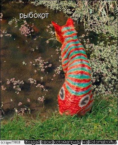 рыбокот... Котоматрица: рыбокот
