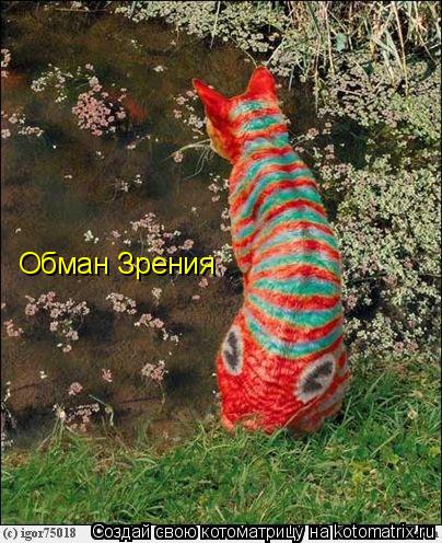 Котоматрица: Обман Зрения