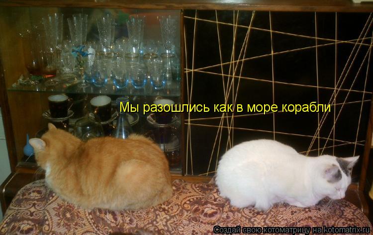 Котоматрица: Мы разошлись как в море корабли