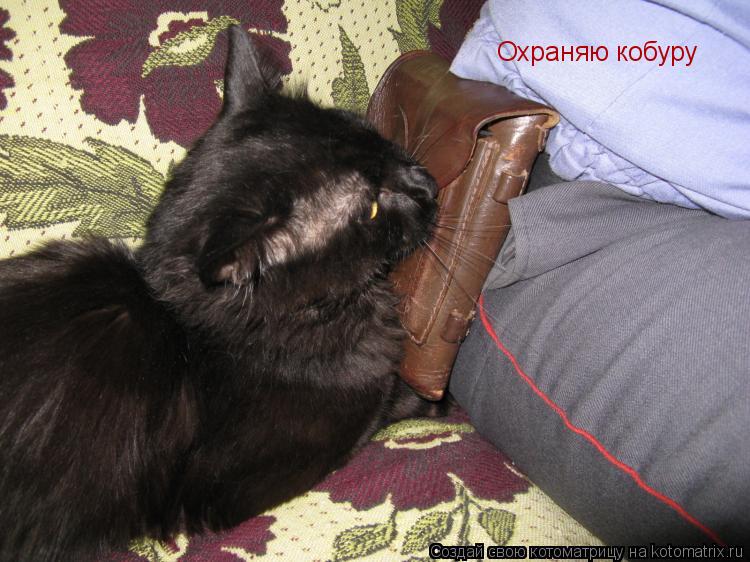 Котоматрица: Охраняю кобуру