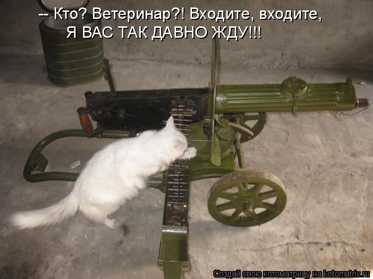 -- Кто? Ветеринар?! Входите, входите, Я ВАС ТАК ДАВНО ЖДУ!!!... Котоматрица: -- Кто? Ветеринар?! Входите, входите, Я ВАС ТАК ДАВНО ЖДУ!!!