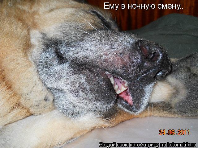 Котоматрица: Ему в ночную смену...