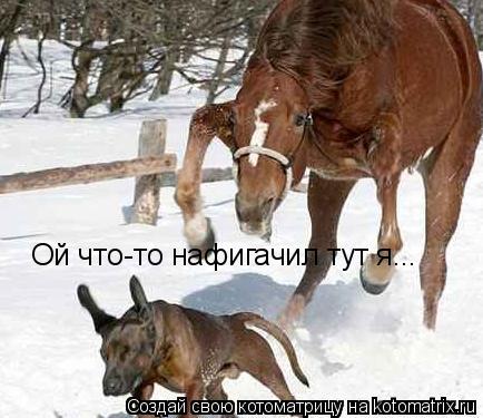 Котоматрица: Ой что-то нафигачил тут я...