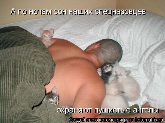 А по ночам сон наших спецназовцев охраняют пушистые ангелы... Котоматрица: А по ночам сон наших спецназовцев охраняют пушистые ангелы