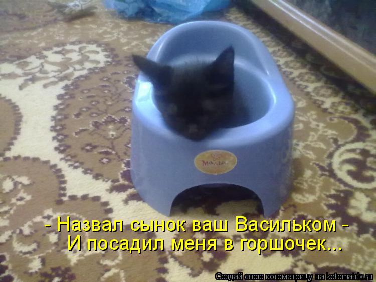 - Назвал сынок ваш Васильком - И посадил меня в горшочек...... Котоматрица: - Назвал сынок ваш Васильком - И посадил меня в горшочек...