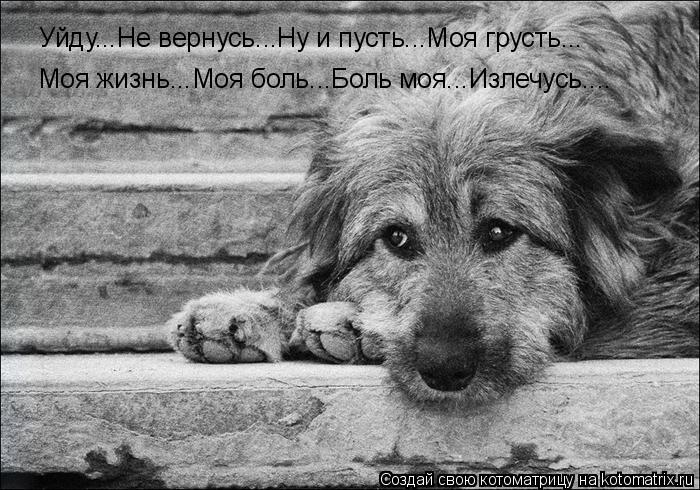 Уйду...Не вернусь...Ну и пусть...Моя грусть... Моя жизнь...Моя боль...Боль моя...Излечусь....... Котоматрица: Уйду...Не вернусь...Ну и пусть...Моя грусть... Моя жизнь...Моя боль...Боль моя...Излечусь....