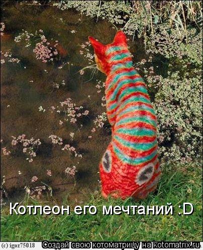 Котлеон его мечтаний :D... Котоматрица: Котлеон его мечтаний :D