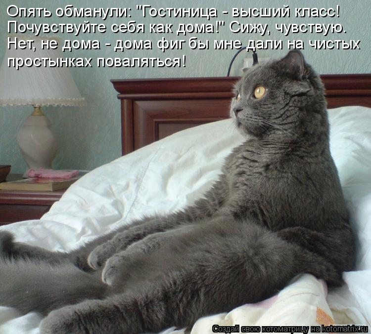 Котоматрица: Опять обманули: "Гостиница - высший класс! Почувствуйте себя как дома!" Сижу, чувствую. Нет, не дома - дома фиг бы мне дали на чистых простынках