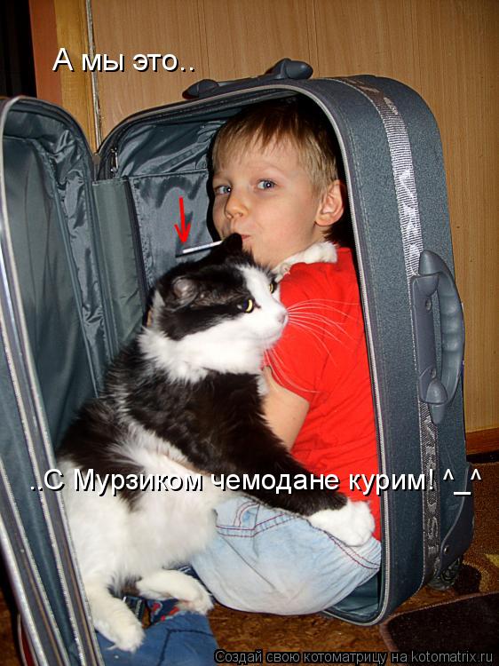 А мы А мы это.. ..С Мурзиком чемодане курим! ^_^ | V... Котоматрица: А мы А мы это.. ..С Мурзиком чемодане курим! ^_^ | V