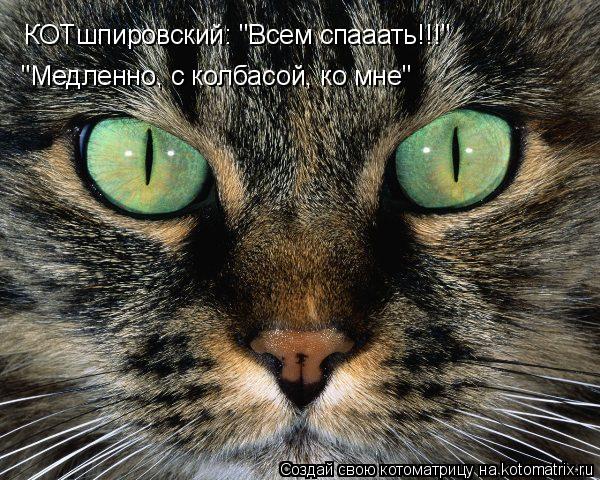 КОТшпировский: "Всем спааать!!!" "Медленно, с колбасой, ко мне"... Котоматрица: КОТшпировский: "Всем спааать!!!" "Медленно, с колбасой, ко мне"