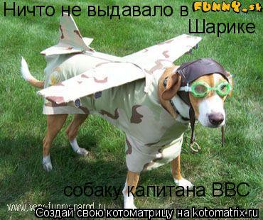 Шарике собаку капитана ВВС Ничто не выдавало в... Котоматрица: Шарике собаку капитана ВВС Ничто не выдавало в