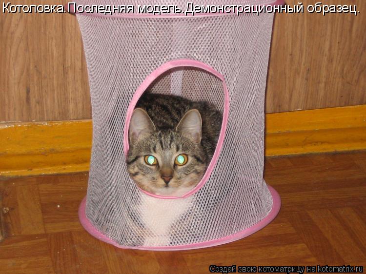 Котоловка.Последняя модель.Демонстрационный образец.... Котоматрица: Котоловка.Последняя модель.Демонстрационный образец.