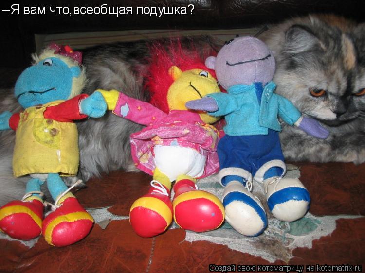 --Я вам что,всеобщая подушка?... Котоматрица: --Я вам что,всеобщая подушка?