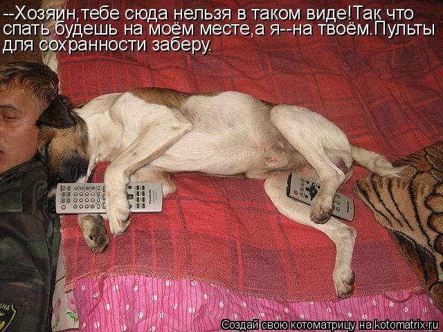 --Хозяин,тебе сюда нельзя в таком виде!Так что спать будешь на моём месте,а я--на твоём.Пульты для со... Котоматрица: --Хозяин,тебе сюда нельзя в таком виде!Так что спать будешь на моём месте,а я--на твоём.Пульты для сохранности заберу.