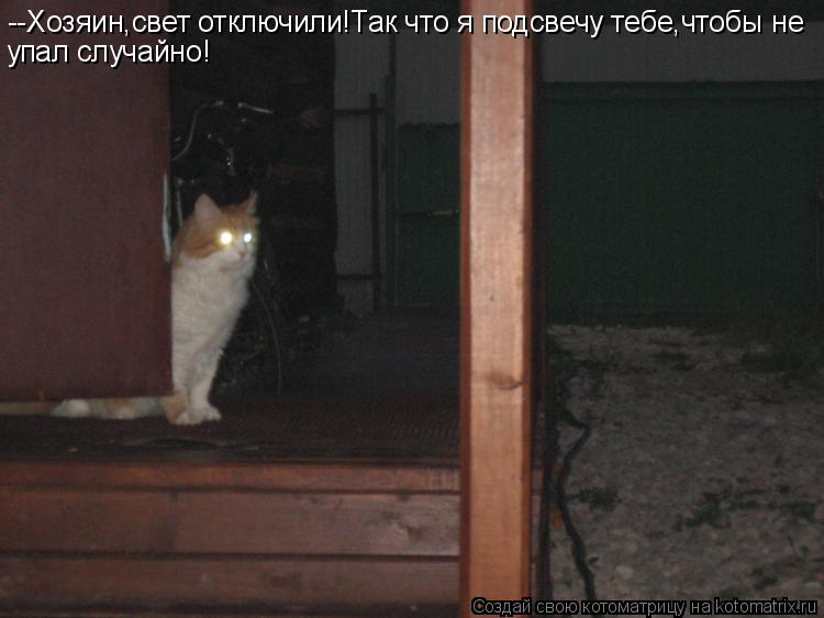 --Хозяин,свет отключили!Так что я подсвечу тебе,чтобы не упал случайно!... Котоматрица: --Хозяин,свет отключили!Так что я подсвечу тебе,чтобы не упал случайно!