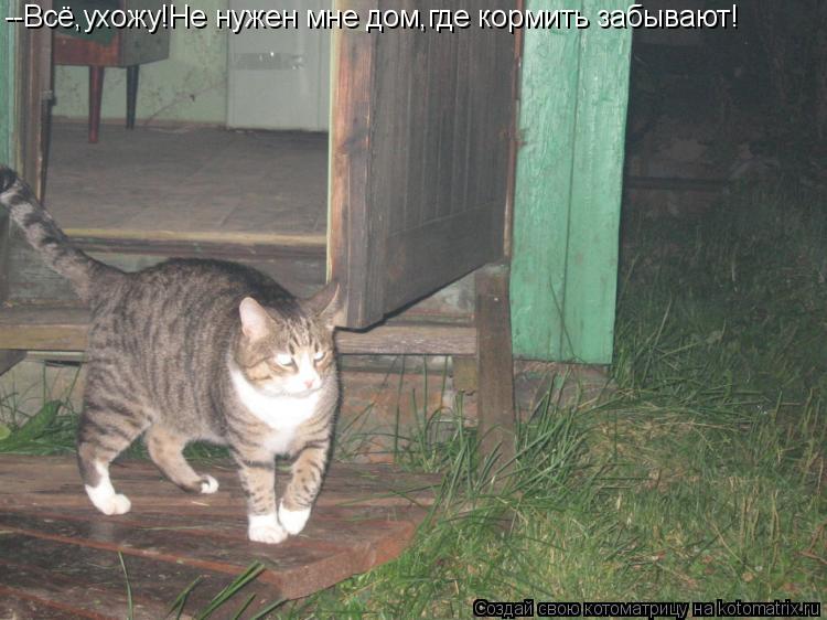 --Всё,ухожу!Не нужен мне дом,где кормить забывают!... Котоматрица: --Всё,ухожу!Не нужен мне дом,где кормить забывают!