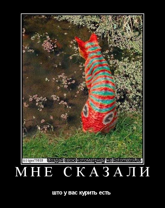 мне сказали што у вас курить есть ... Котоматрица: мне сказали што у вас курить есть