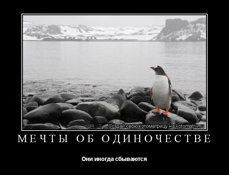Мечты об одиночестве Они иногда сбываются... Котоматрица: Мечты об одиночестве Они иногда сбываются