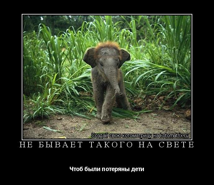 Котоматрица: Не бывает такого на свете Чтоб были потеряны дети