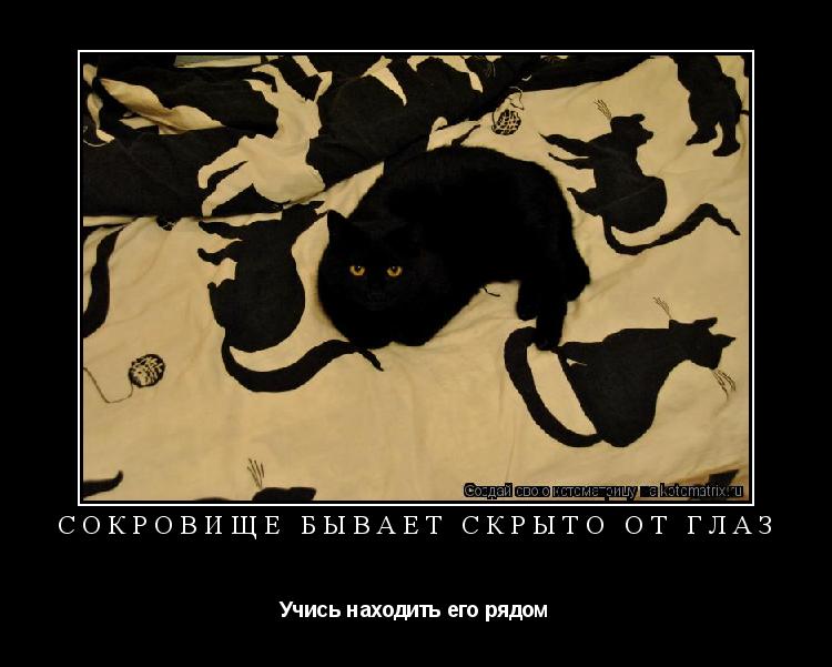 Котоматрица: Сокровище бывает скрыто от глаз Учись находить его рядом