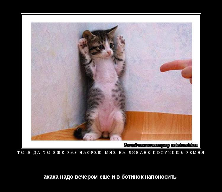 Ты-Я.да ты еше раз насреш мне на диване получишь ремня ахаха надо вечером еше и в ботинок напоносить ... Котоматрица: Ты-Я.да ты еше раз насреш мне на диване получишь ремня ахаха надо вечером еше и в ботинок напоносить
