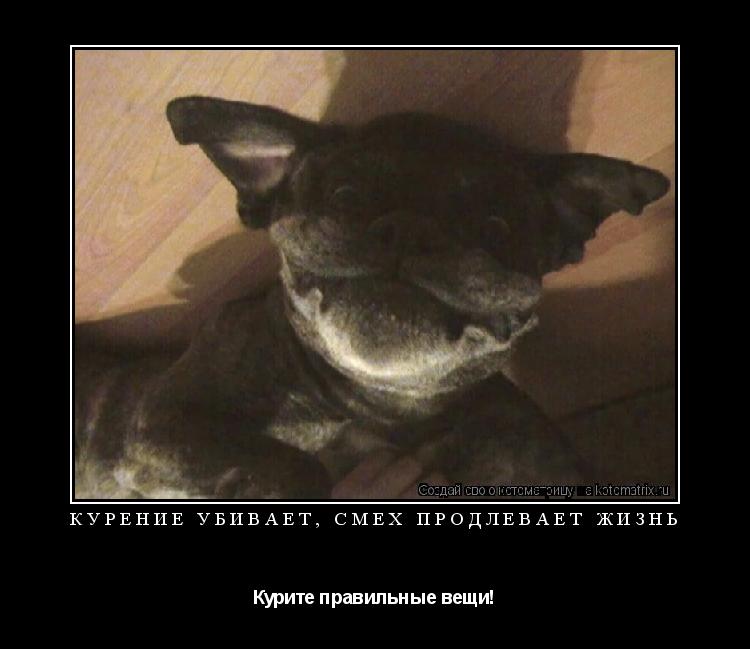 Котоматрица: Курение убивает, смех продлевает жизнь Курите правильные вещи!