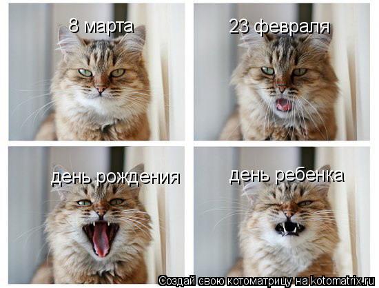 8 марта 23 февраля день рождения день ребенка... Котоматрица: 8 марта 23 февраля день рождения день ребенка