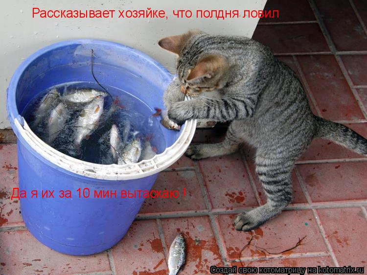 Рассказывает хозяйке, что полдня ловил Да я их за 10 мин вытаскаю !... Котоматрица: Рассказывает хозяйке, что полдня ловил Да я их за 10 мин вытаскаю !