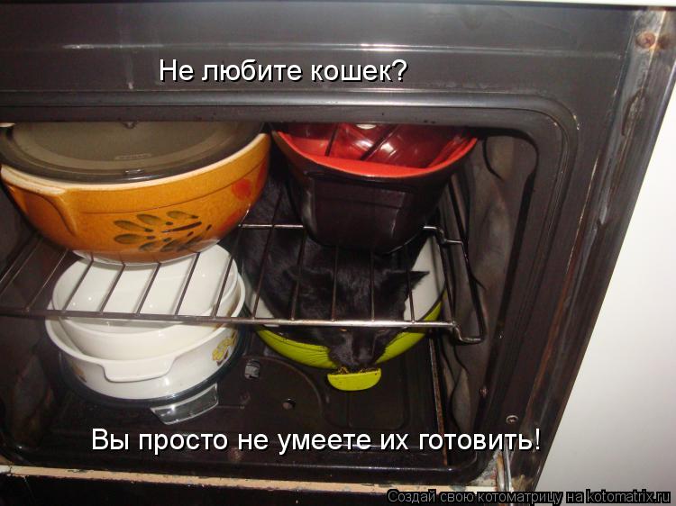 Не любите кошек? Вы просто не умеете их готовить!... Котоматрица: Не любите кошек? Вы просто не умеете их готовить!