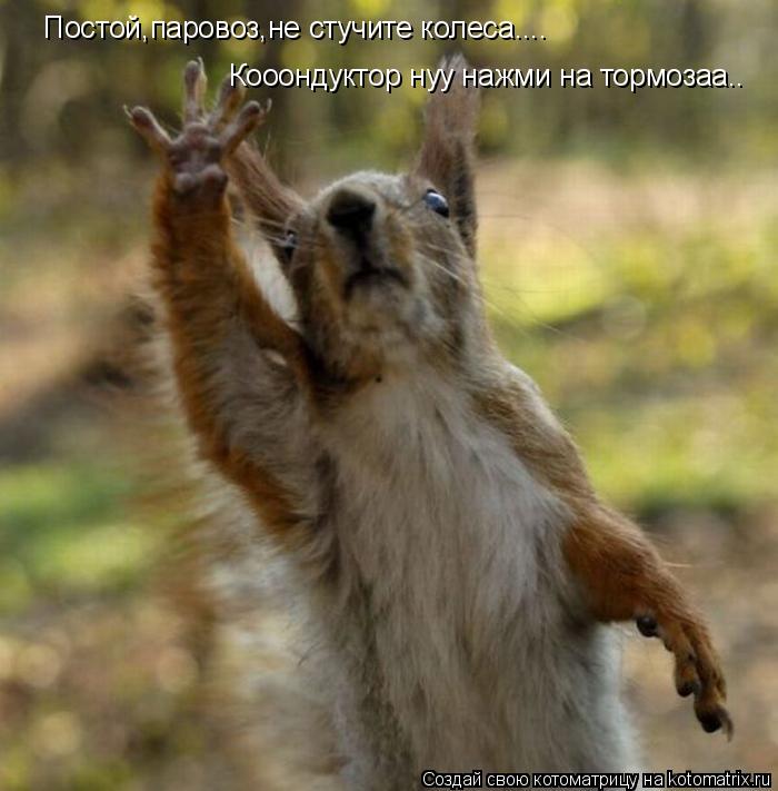 Постой,паровоз,не стучите колеса.... Кооондуктор нуу нажми на тормозаа..... Котоматрица: Постой,паровоз,не стучите колеса.... Кооондуктор нуу нажми на тормозаа..