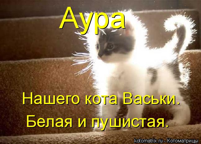 Аура Нашего кота Васьки. Белая и пушистая.... Котоматрица: Аура Нашего кота Васьки. Белая и пушистая.