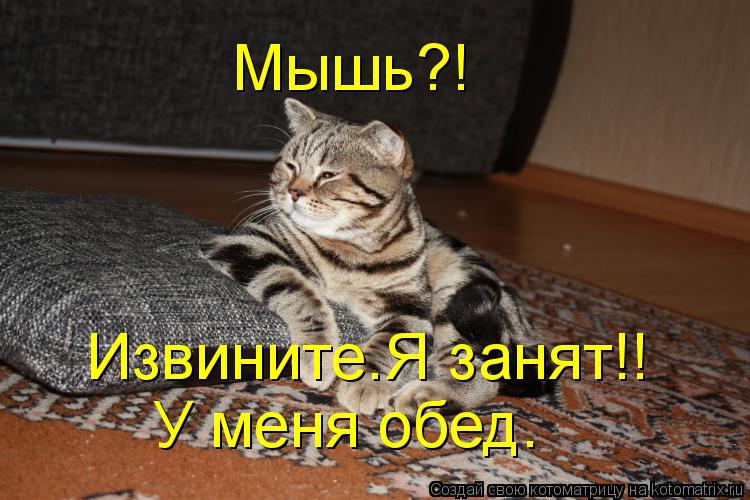 Мышь?! Извините.Я занят!! У меня обед.... Котоматрица: Мышь?! Извините.Я занят!! У меня обед.