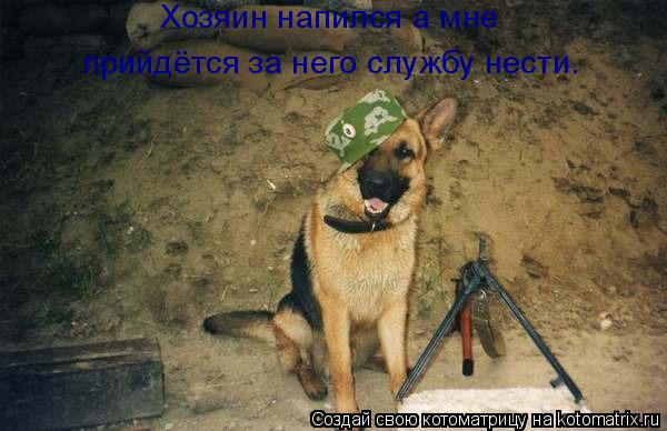 Хозяин напился а мне прийдётся за него службу нести.... Котоматрица: Хозяин напился а мне прийдётся за него службу нести.