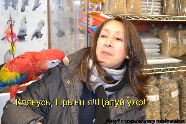 Клянусь, Прынц я! Цалуй ужо!... Котоматрица: Клянусь, Прынц я! Цалуй ужо!