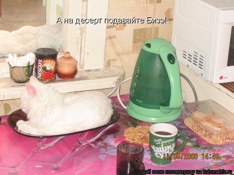 А на десерт подавайте Бизэ!... Котоматрица: А на десерт подавайте Бизэ!