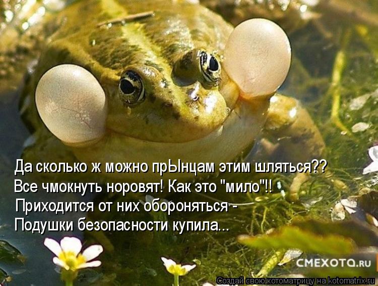 Да сколько ж можно прЫнцам этим шляться?? Все чмокнуть норовят! Как это "мило"!! Приходится от них об... Котоматрица: Да сколько ж можно прЫнцам этим шляться?? Все чмокнуть норовят! Как это "мило"!! Приходится от них обороняться - Подушки безопасности купила...