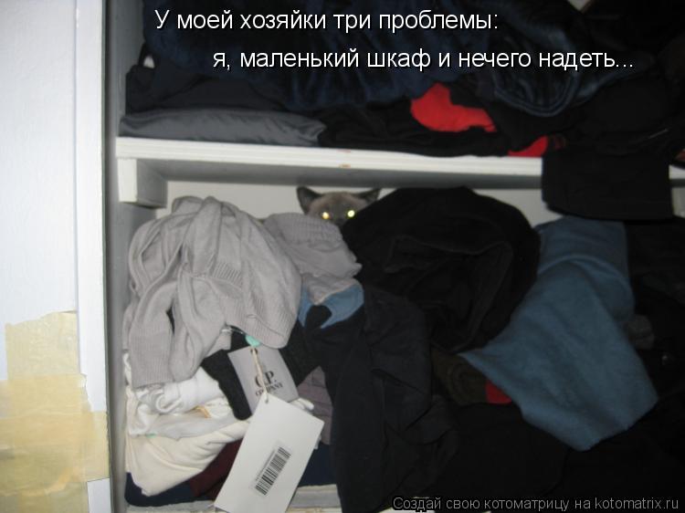 У моей хозяйки три проблемы: я, маленький шкаф и нечего надеть...... Котоматрица: У моей хозяйки три проблемы: я, маленький шкаф и нечего надеть...