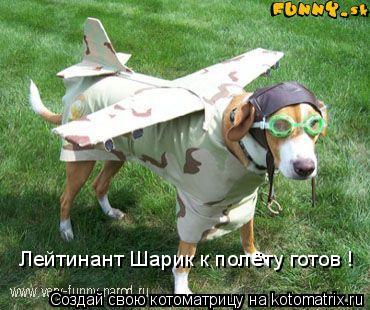 Лейтинант Шарик к полёту готов !... Котоматрица: Лейтинант Шарик к полёту готов !