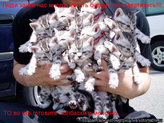 Люди зайти нас много, мстить будем , не отвертитесь!!! ТО во что готовите колбаски и молочко........... Котоматрица: Люди зайти нас много, мстить будем , не отвертитесь!!! ТО во что готовите колбаски и молочко...........