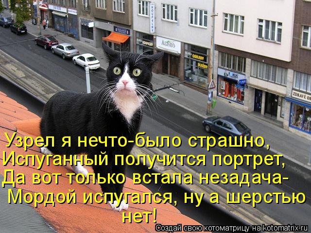 Узрел я нечто-было страшно, Испуганный получится портрет, Да вот только встала незадача- Мордой испуг... Котоматрица: Узрел я нечто-было страшно, Испуганный получится портрет, Да вот только встала незадача- Мордой испугался, ну а шерстью нет!