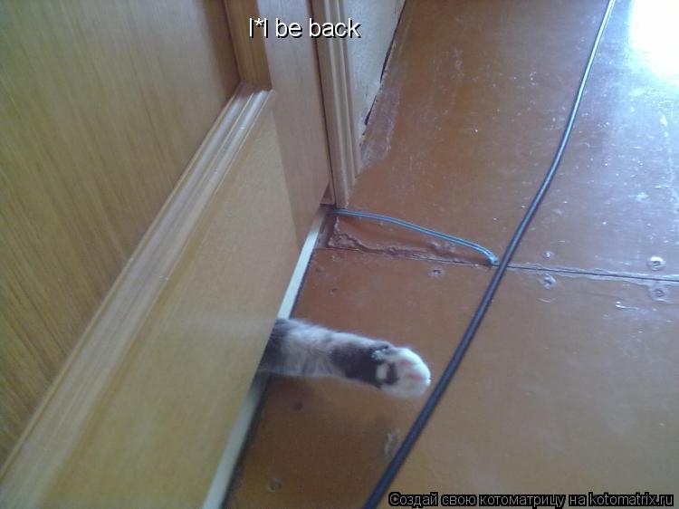 I*l be back... Котоматрица: I*l be back