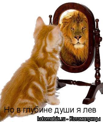Котоматрица: Но в глубине души я лев