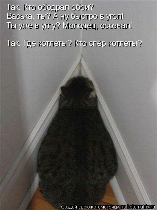 Так. Кто ободрал обои? Васька, ты? А ну быстро в угол! Ты уже в углу? Молодец, осознал! Так. Где котл... Котоматрица: Так. Кто ободрал обои? Васька, ты? А ну быстро в угол! Ты уже в углу? Молодец, осознал! Так. Где котлеты? Кто спёр котлеты?