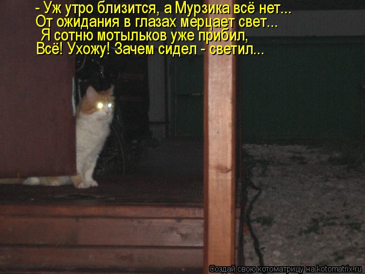 - Уж утро близится, а Мурзика всё нет... От ожидания в глазах мерцает свет... Я сотню мотыльков уже п... Котоматрица: - Уж утро близится, а Мурзика всё нет... От ожидания в глазах мерцает свет... Я сотню мотыльков уже прибил, Всё! Ухожу! Зачем сидел - светил...