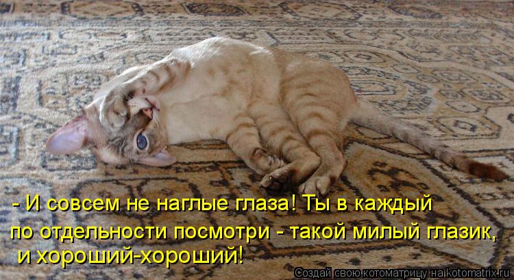 - И совсем не наглые глаза! Ты в каждый и хороший-хороший! по отдельности посмотри - такой милый глаз... Котоматрица: - И совсем не наглые глаза! Ты в каждый и хороший-хороший! по отдельности посмотри - такой милый глазик,