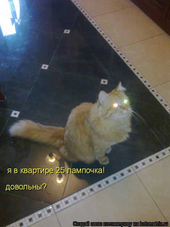 я в квартире 25 лампочка! довольны?... Котоматрица: я в квартире 25 лампочка! довольны?