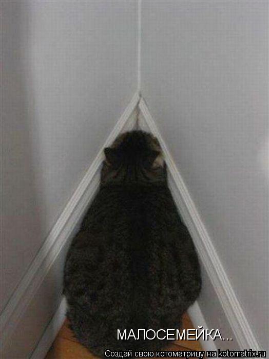 МАЛОСЕМЕЙКА...... Котоматрица: МАЛОСЕМЕЙКА...