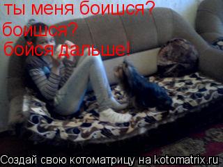 ты меня боишся? боишся? бойся дальше!... Котоматрица: ты меня боишся? боишся? бойся дальше!